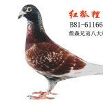 1852888 文