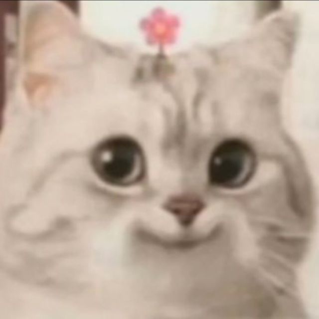 1853369 落衡