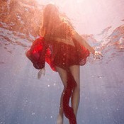 1855542 ✿