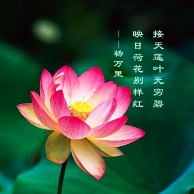 1855685 剑客