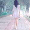 1855815 晴的天