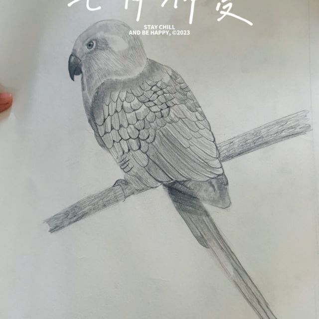 1855920 静心