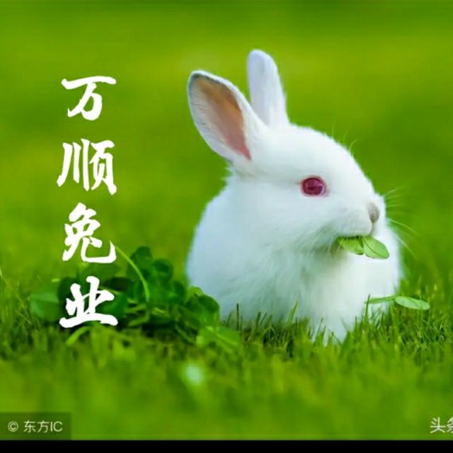 1857423 【ε叼着奶瓶逛青楼】