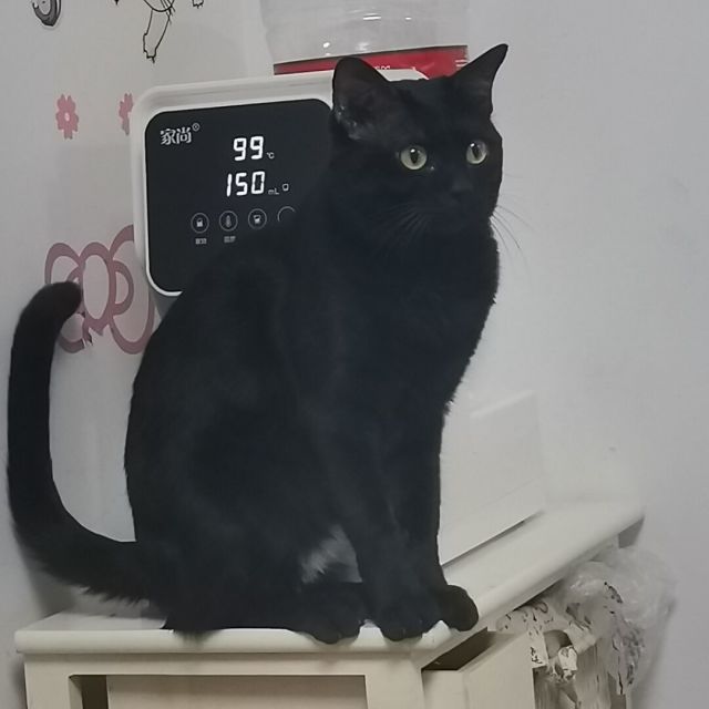 1857744 ≮落伊紫怡≯/zhq