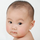 1859527 xue