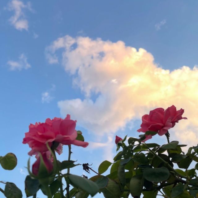 1861058 向幸福狂奔