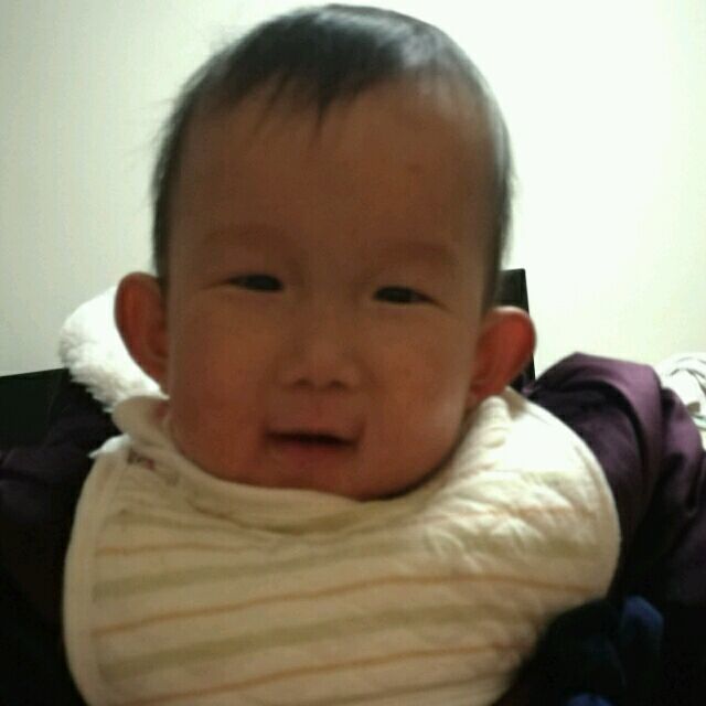 1862165 鱼爸
