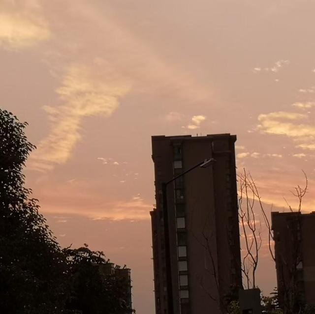 1868619 佑树