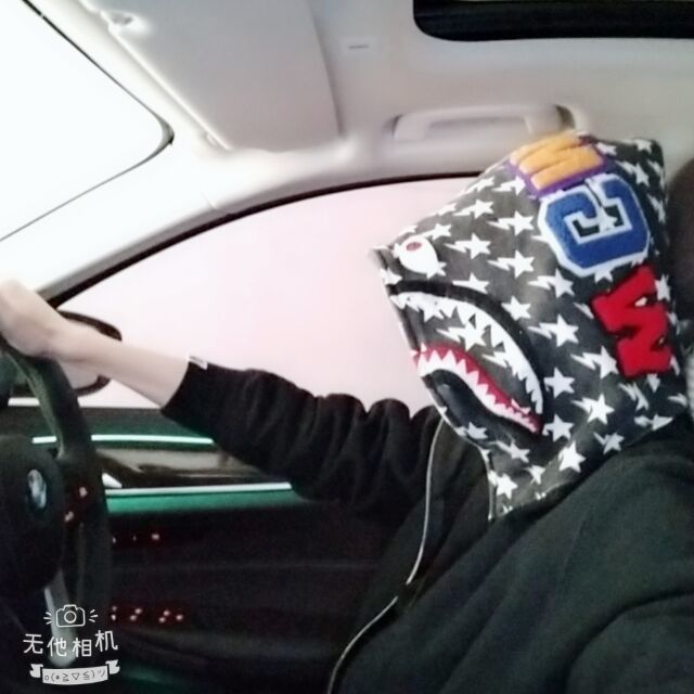 1868784 唯尊野马