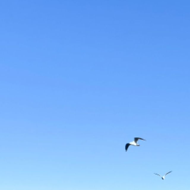1870583 阿农农