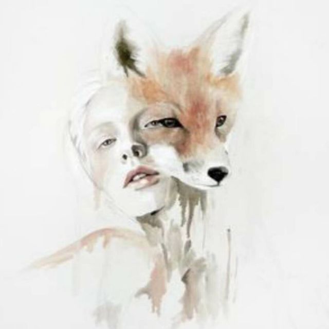 1874433 ..fox