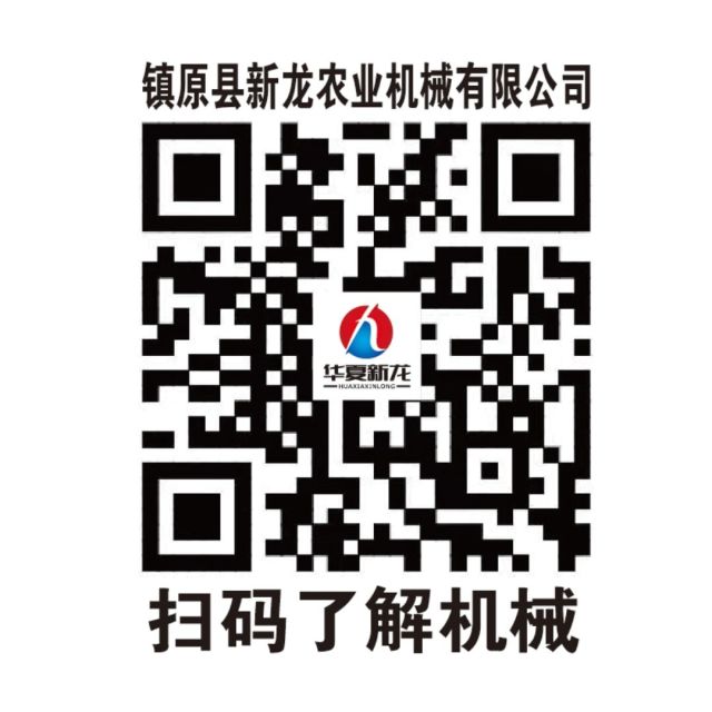 1876693 皮皮