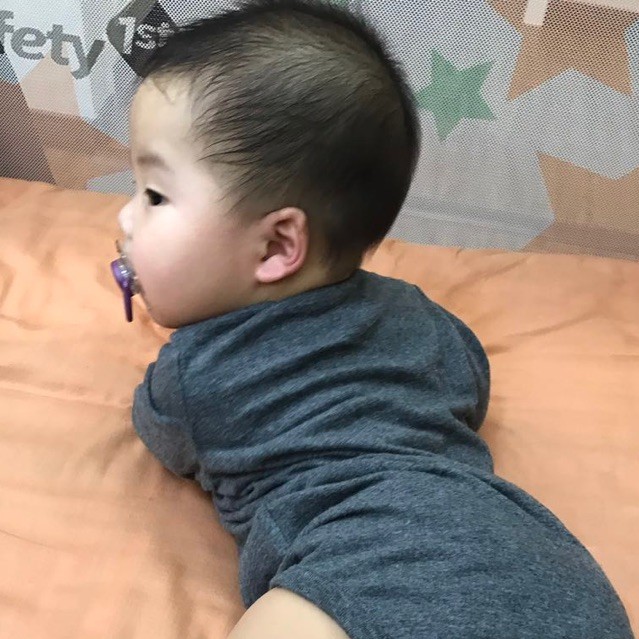 1877828 胖胖