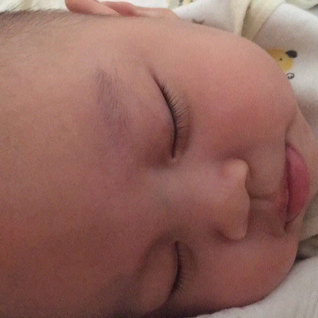 1878126 寶プル