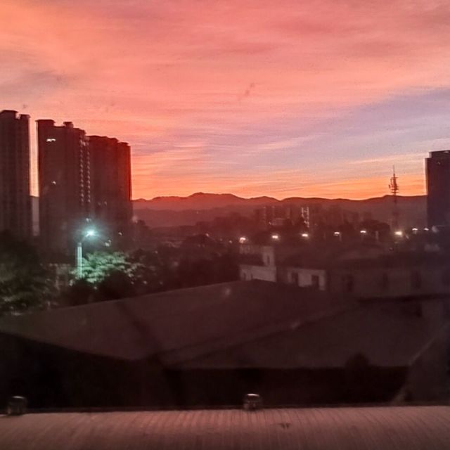 1880509 等你听荷