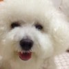 1880659 可人儿