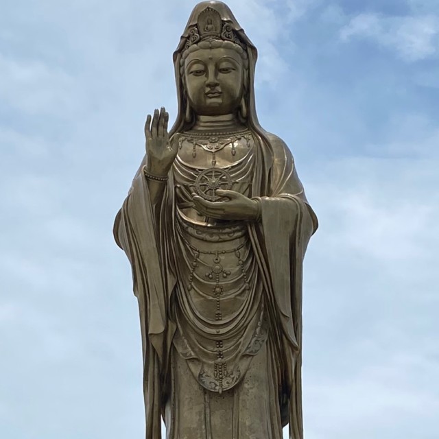 1881667 ∮绿茶∈红茶∮