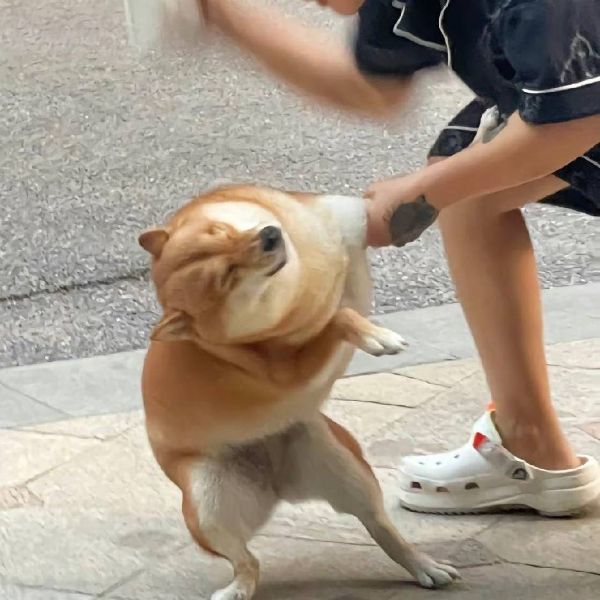 1882344 骂开