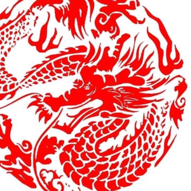 1882929 银海电脑正龙