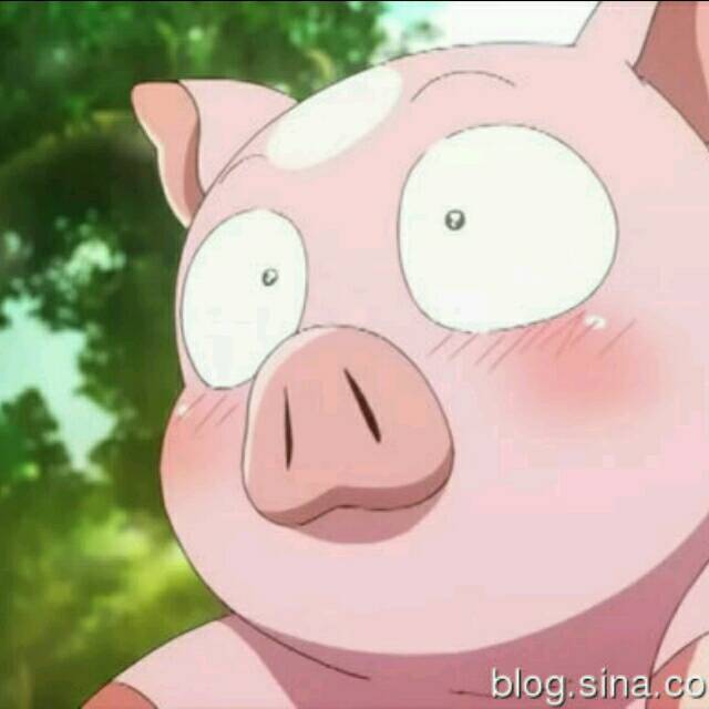 1883587 胡涧源