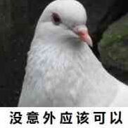 1885988 简达-陈嘉祺MCC/ASL