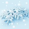 1887998 雪域ぷ苍海