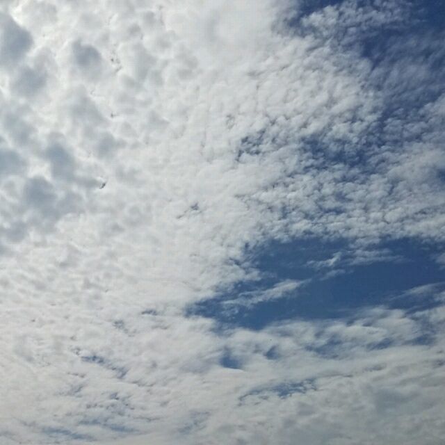 1888082 倖福、侑點甜