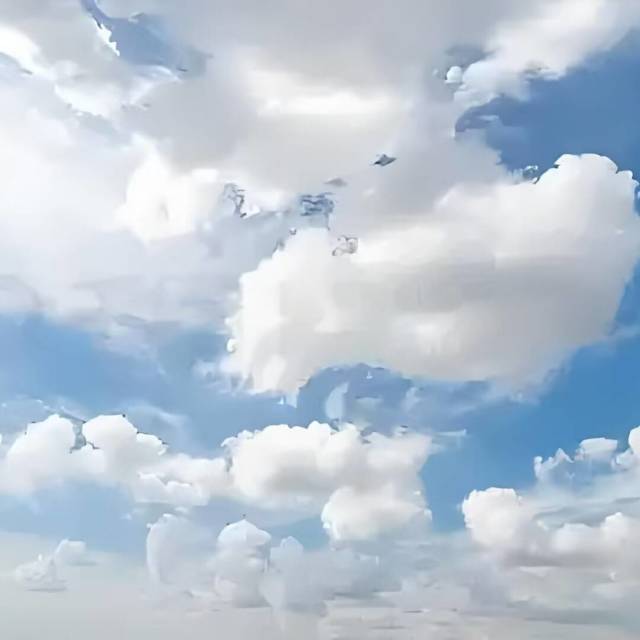 1888406 My杨