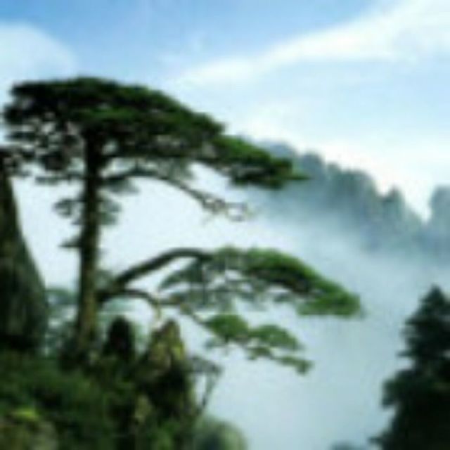 1889525 巨浪滔天