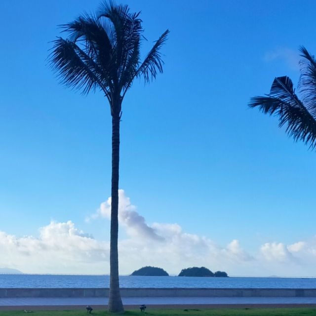 1890324 阿城