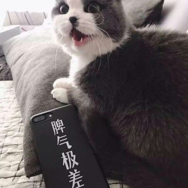 1890928 ↘堕落