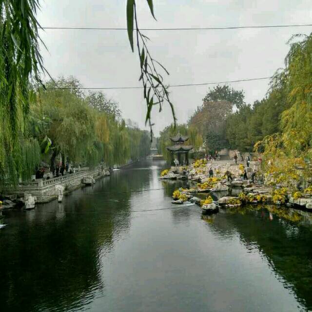 1891895 溺水的鱼