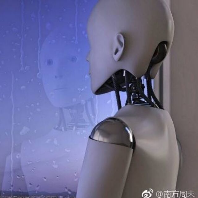 1892727 乘凉的八爪鱼