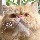 1893054 猫姐姐