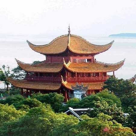 1893399 闽商头哥