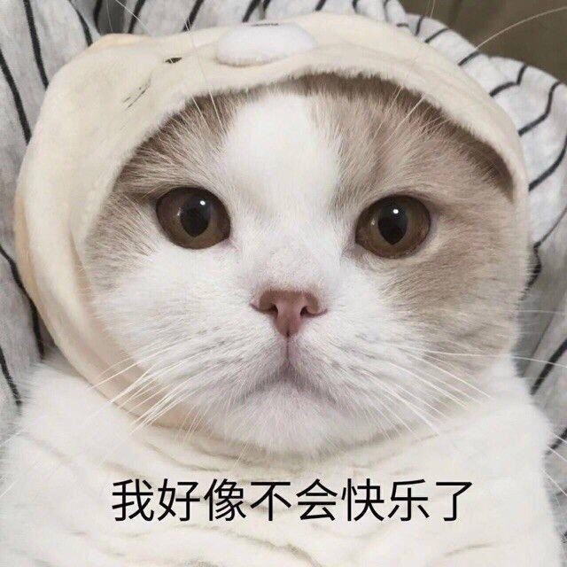 1894036 那颗心、只为你守侯