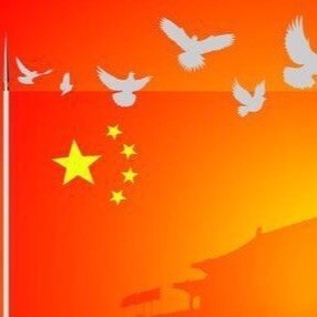1895439 河北中捷申超