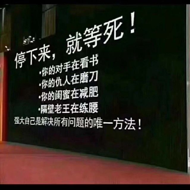 1895519 优昙婆罗花 ︶ε╰♥