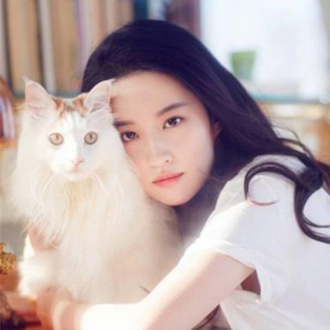 1895596 Kain_LQX