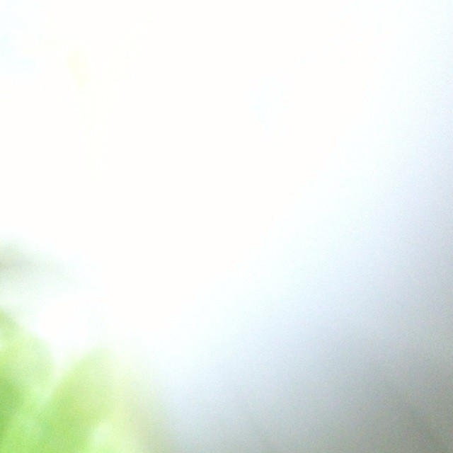 1895918 醉烟