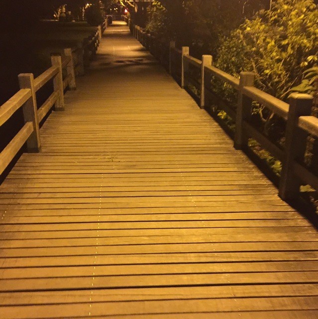 1897797 やDX麒Cや