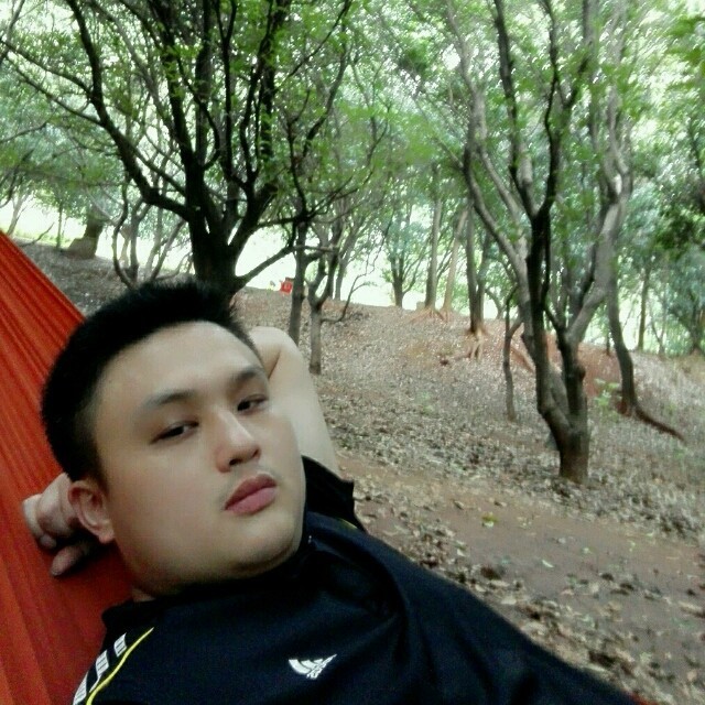 1900403 随风飘荡