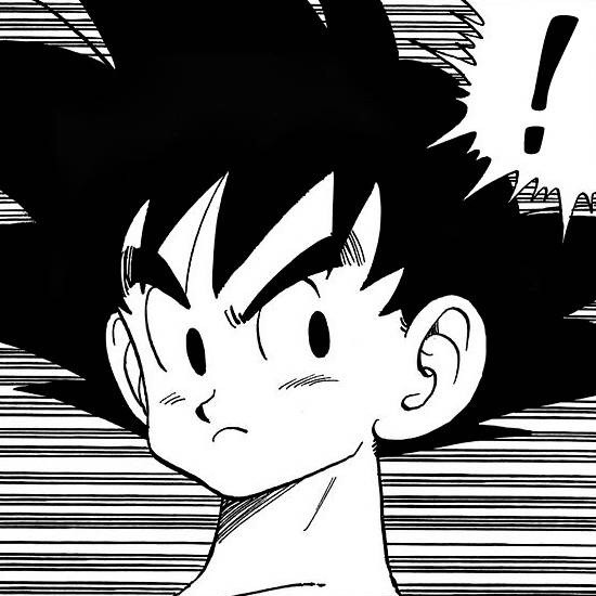 1900479 27