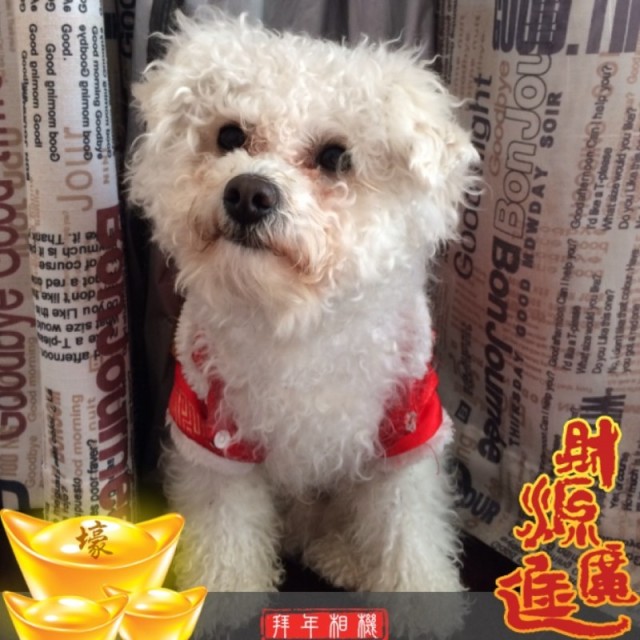 1901106 江南老面条