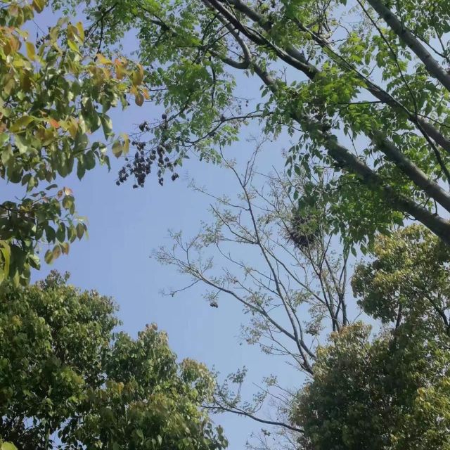 1901957 水易寒