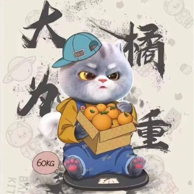 1902231 猫猫