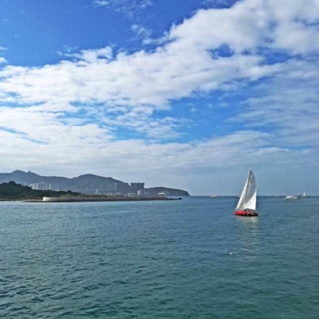 1905094 海阔天空/Robin