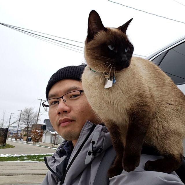 1905129 太阳神