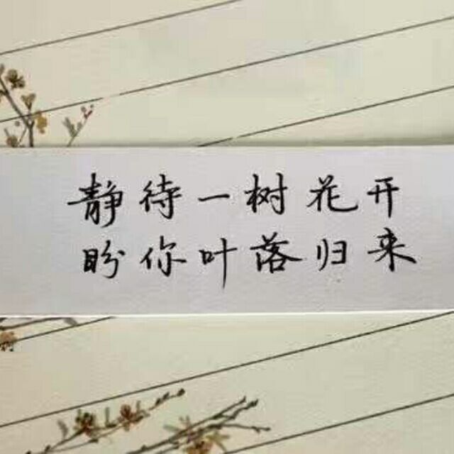 1905725 ·静·