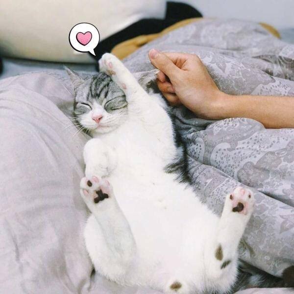 1906307 阳哼哼